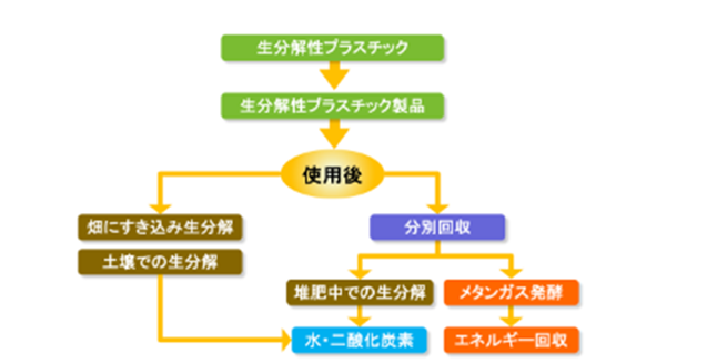 生分解性プラスチック入門